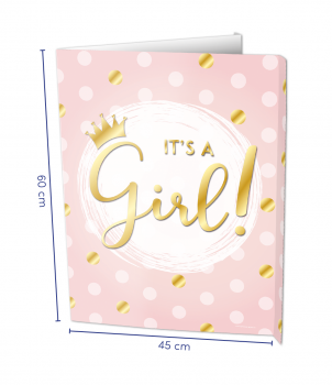 Window signs - It's a Girl!
